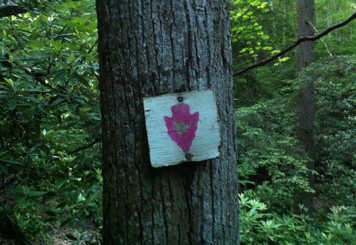 Old BISO Trail Signage, Big South Fork - 10